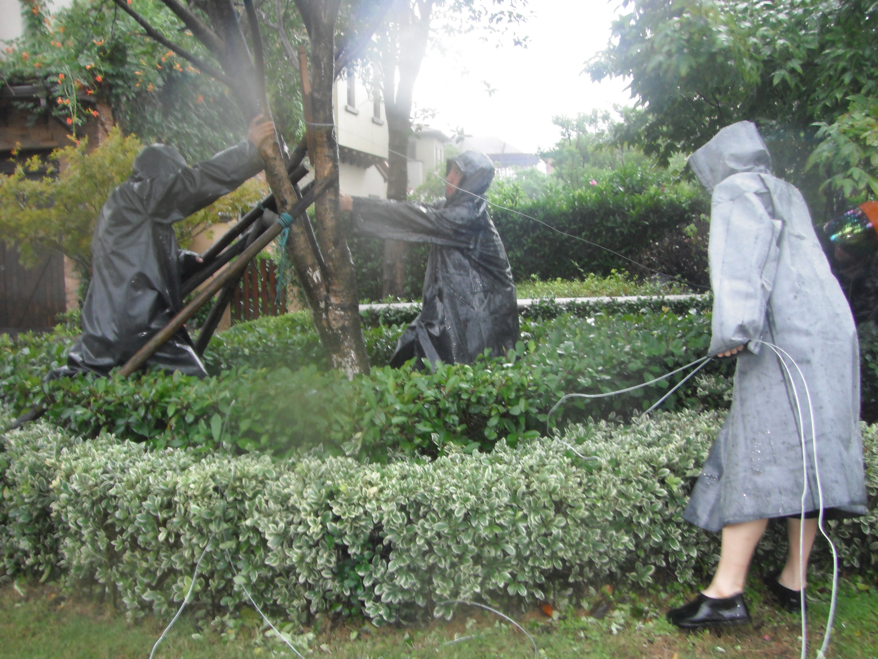 ��������Ȼ����