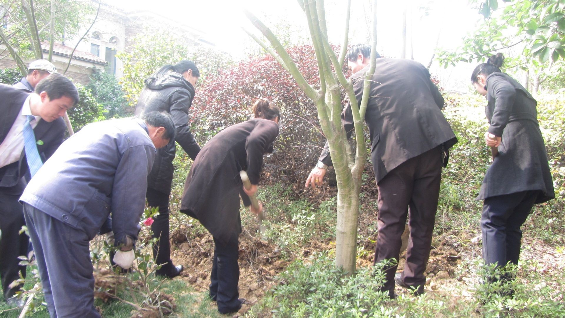  ��������������֯��չ��ӵ�����졢���ִ�ɫ��ֲ��������