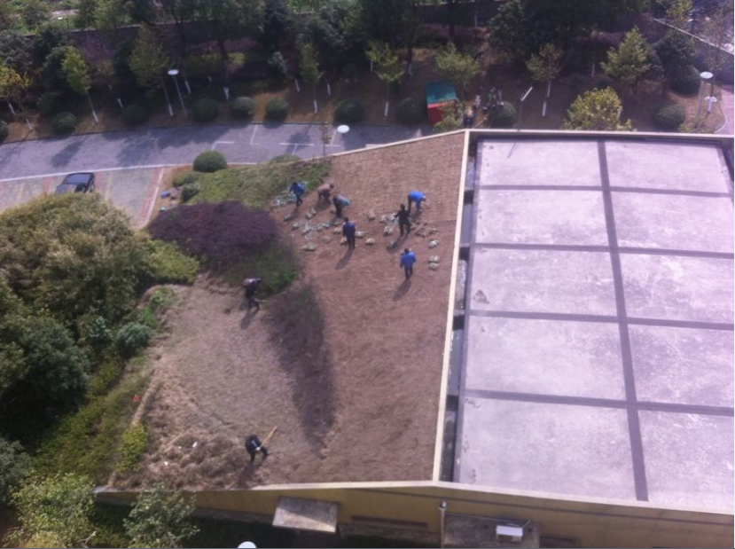 �������ˣ���ֲ���֡����ֿ�ʼ��