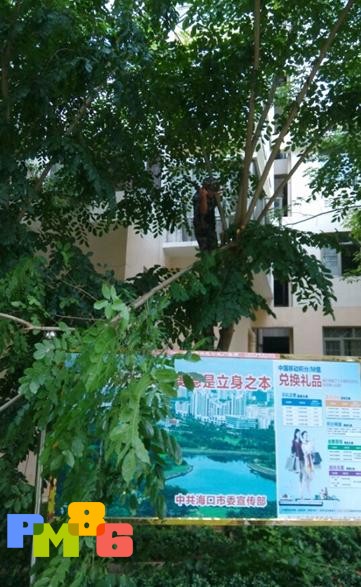 ��Ԫ��ҵ���޺�Է����ȫ������̨�硰����ѷ����Ϯ�� 