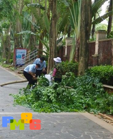 ��Ԫ��ҵ���޺�Է����ȫ������̨�硰����ѷ����Ϯ�� 