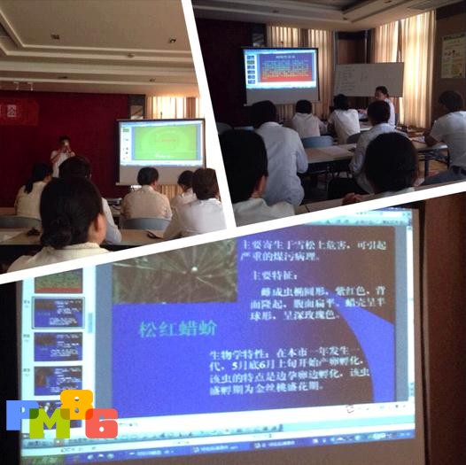 开元物业总部运营管理中心在徐州开元四季进行绿化保养培训