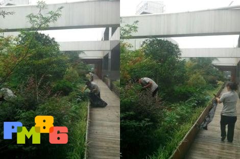 ��Ԫ��ҵǮ�����ÿ�չ���ݻ