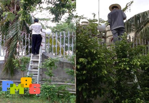 ��Ԫ��ҵ��������˫�ֽ��Ƶ���