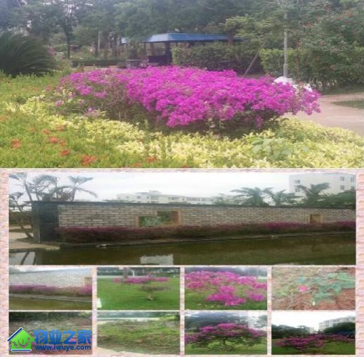 ��Ԫ��ҵ������̺죬Ϊ������