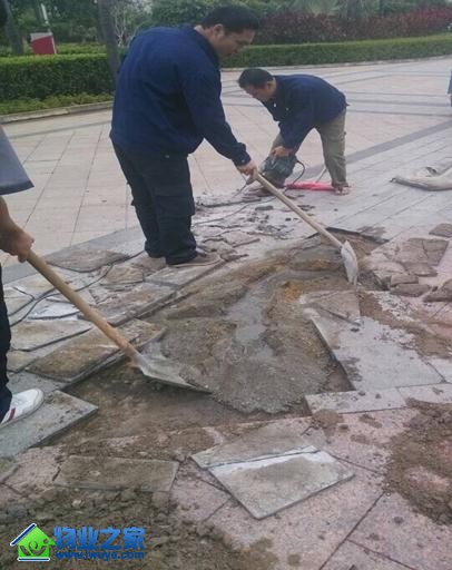 ��Ԫ��ҵȫ��ά�ޱ���ȫ��˳���ٿ�