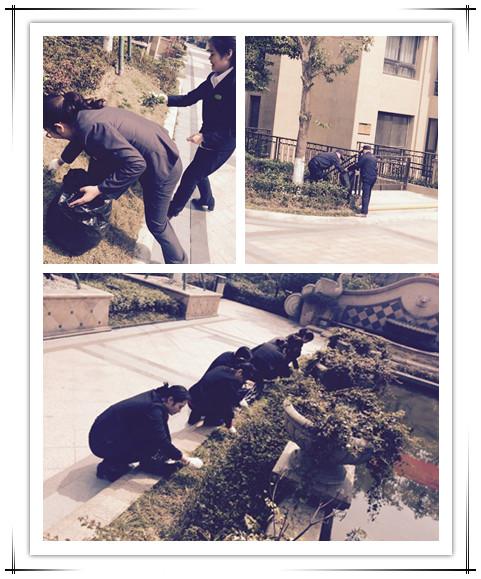 ��Ԫ��ҵȫ���ܶ�Ա ֲ���ڳ��ݻ���������԰