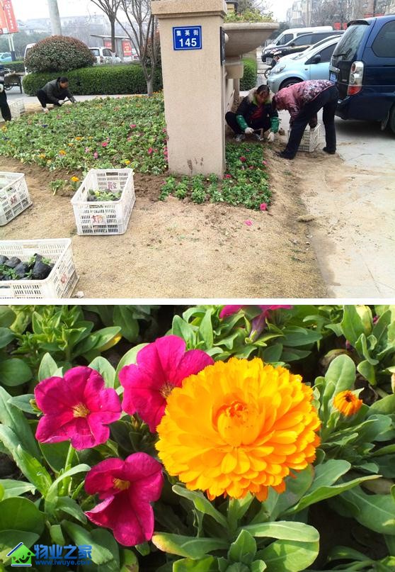 ��Ԫ��ҵ�����������ܸ�������2���껨�ܰ���С��