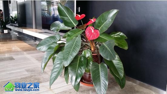 �ڷܹ�����Ӫ�������л�