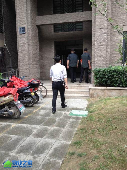 开元物业翡翠谷服务处统一清理楼道乱停车辆获称赞 开元物业翡翠谷服务处统一清理楼道乱停车辆获称赞