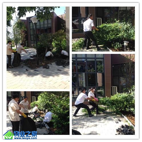 开元物业中环广场案场组织人员拔草护绿营造看房好环境 开元物业中环广场案场组织人员拔草护绿营造看房好环境