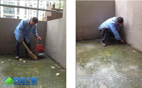 ���ֻ�������ǹ�������