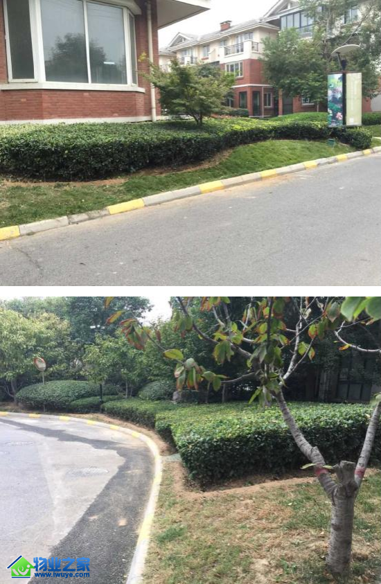 开元物业河南分公司组织绿化师傅植物造景整形修剪实操培训