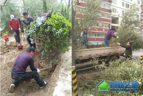 ����ʵҵ����ů��������ҵ�������Ĳ�ֲ����æ