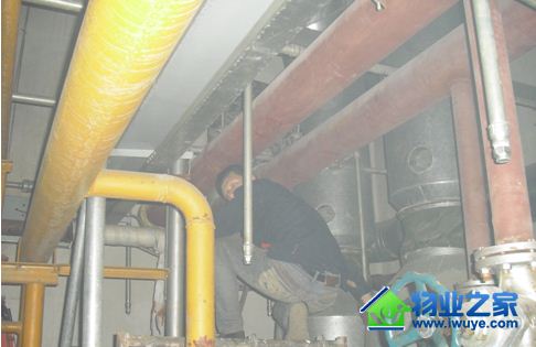 ����ʵҵ��������ҵΪС��2015�궬����ů���ݻ���