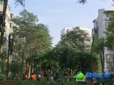 ����ʵҵ���˰���ҵ�Ϻ���԰����԰С����֦�޼�����·���ɹ�����ʽ��