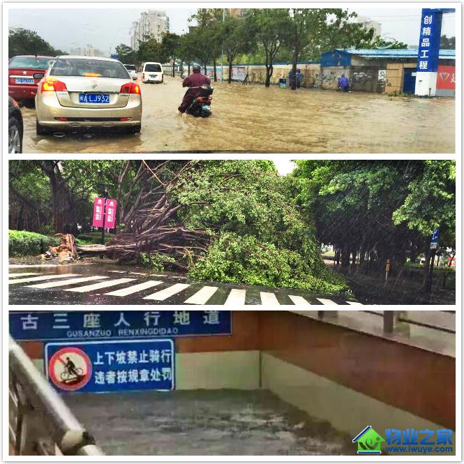 �յ���̨���е�̩��ʽ�Ҹ�