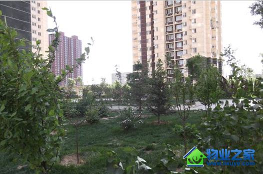 ����ʵҵ������ҵ��������ץ����ʱ����չ�̻����ֹ���