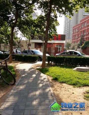 ����ʵҵ�����ķ��� ���Ի�������С������