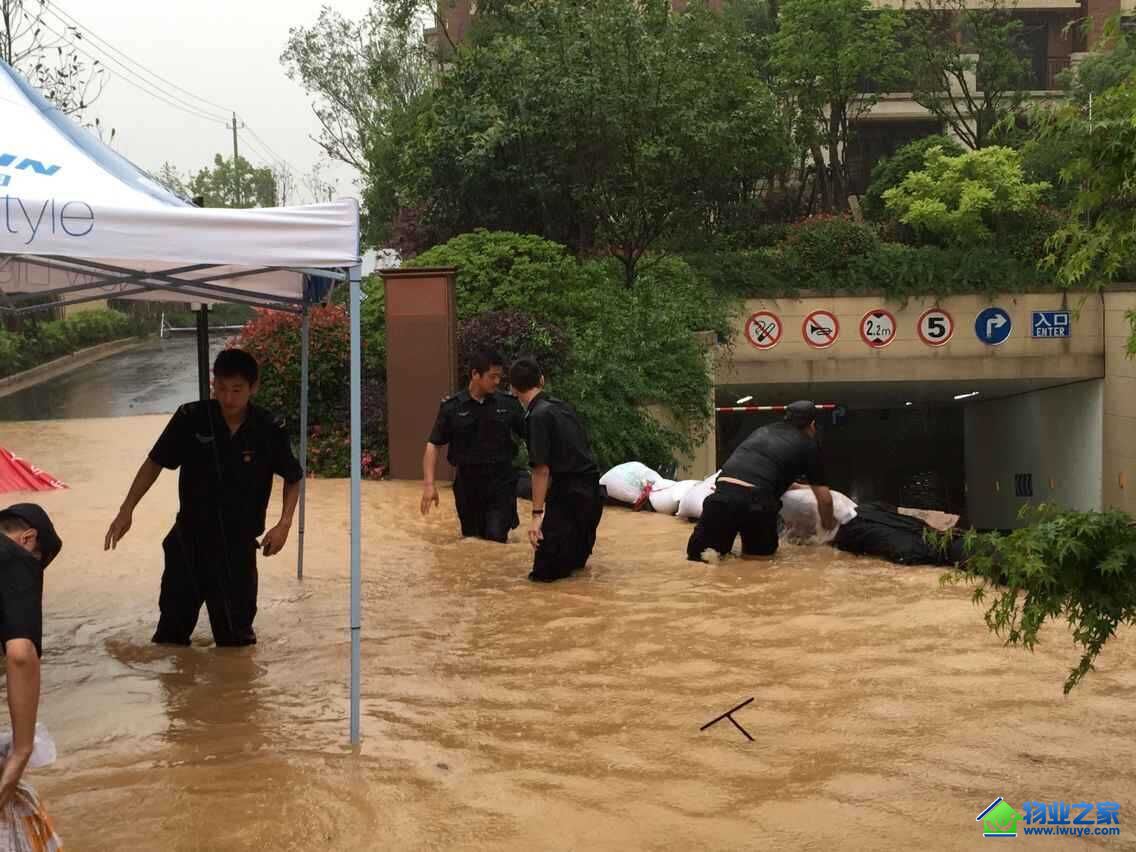 ������ζ���𱩷����е��Ҹ��ʺ�