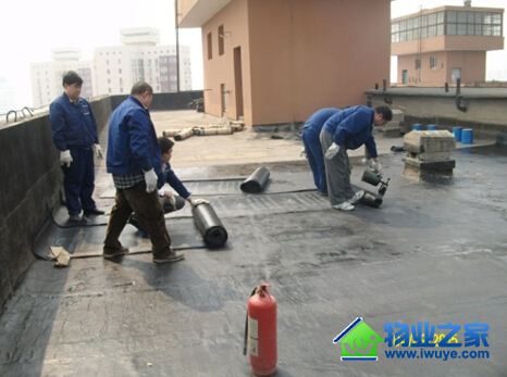 ��ҵ�����ڻ�����ˮ ֻΪҵ���ڷ絲��