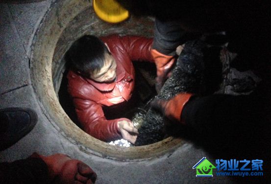 ����ʵҵ������ҵ���Ͻ����������ͺ��ꡢ��ˮ������ϴ���� ̤ʵ�����꼾����