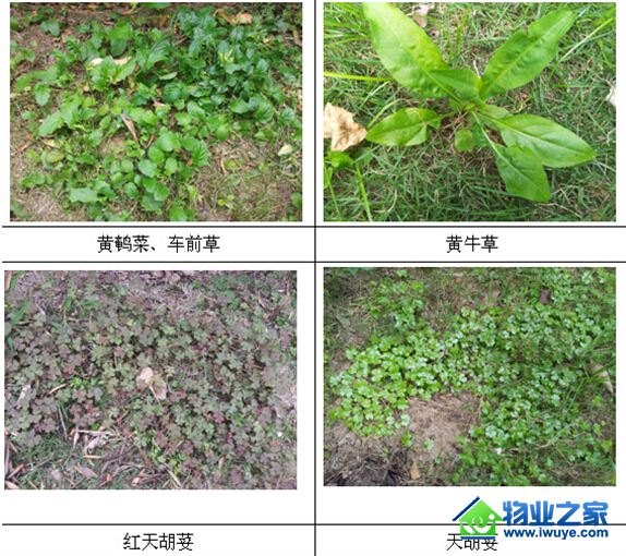 �����̻�������������