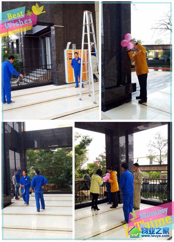 �������ɴ�����������Ũ