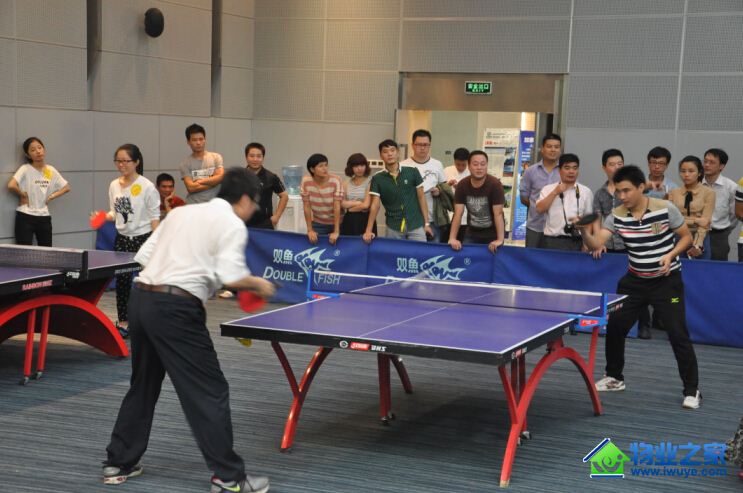 ���ֹ��ʵ���조���ַ�ơ�ƹ�������Բ������