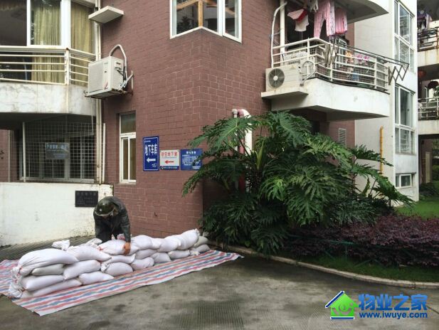 ̩�̸������ٰ��̨�籩��Ӧ��Ԥ����ϰ