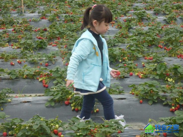 ������ҵ��ά����ŮȨ�桡�ٽ���г��չ