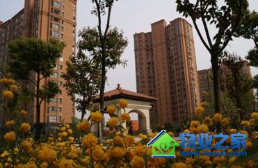 ��Է��ҵ�ٰ조����Է�����Ҽҡ�������Ӱ����