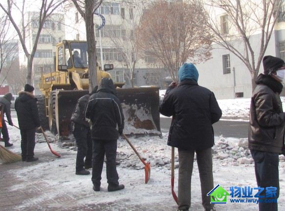 ��ʵҵ�����˻�ѩ ���ϵ�·ͨ��