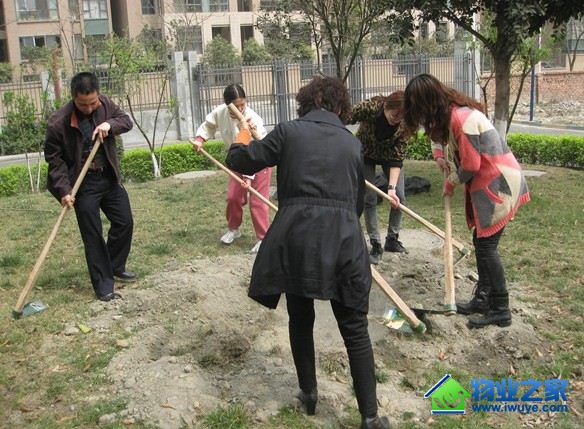 �Ĵ�������ҵ����ҵ��˾��չ��3.12��ֲ���