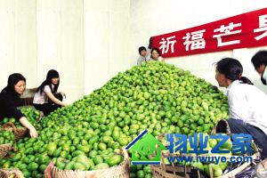 ������ҵ�ٵǡ���г������������ҵ������