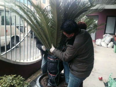 �Ϸ���ҵ��ʵ��ʩ����������ƽ��