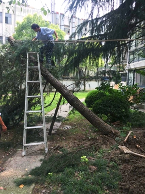 ����������Ϊ���غ�  ����������ҵӭս���Ӻ衱̨���ʵ