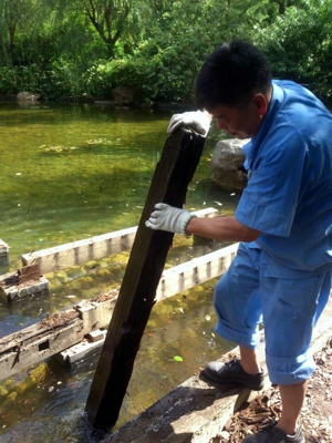 ����ά�޹��޾���¡�������ά����ˮƽ̨