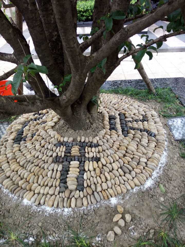 ��Ԫ��ҵֱ������Ԫ������չ�̻���������